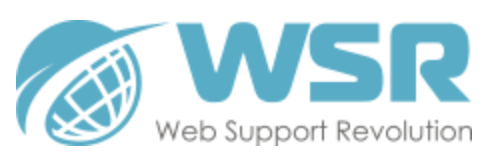 Web support Revolution. Support partners логотип.