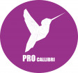 ProCallibri> avatar