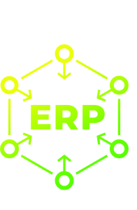 Система управления ресурсами предприятия (ERP)