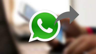 В 2023 году российские компании отправили клиентам WhatsApp 12 млн сообщений, в 2022 - 6 млн.